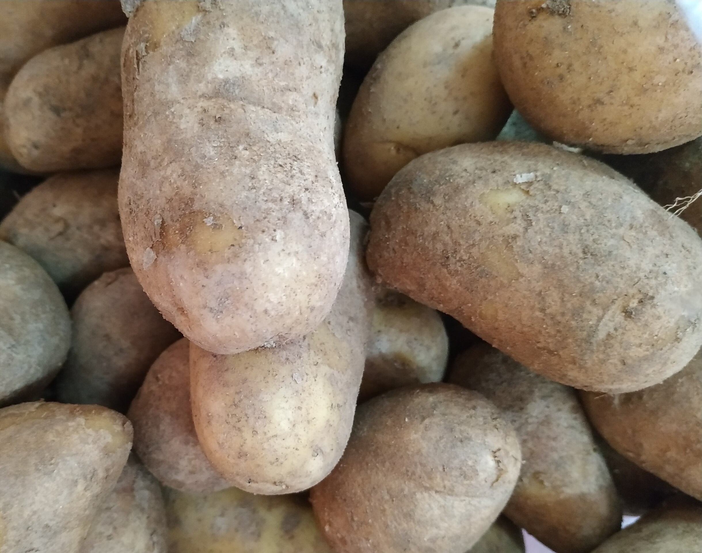 Patatas de la Tierra - 1