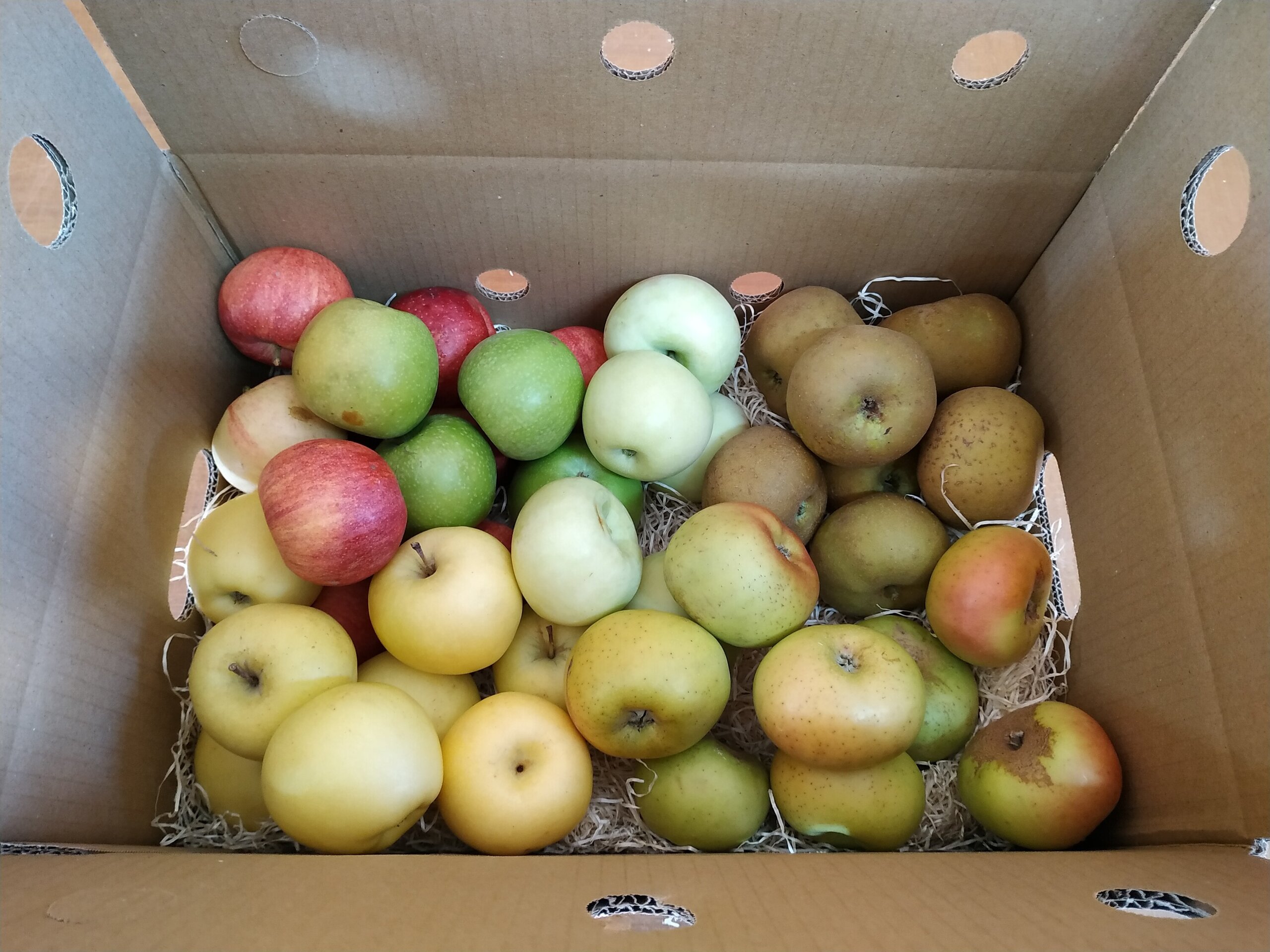 Caja Todo Manzanas - 1